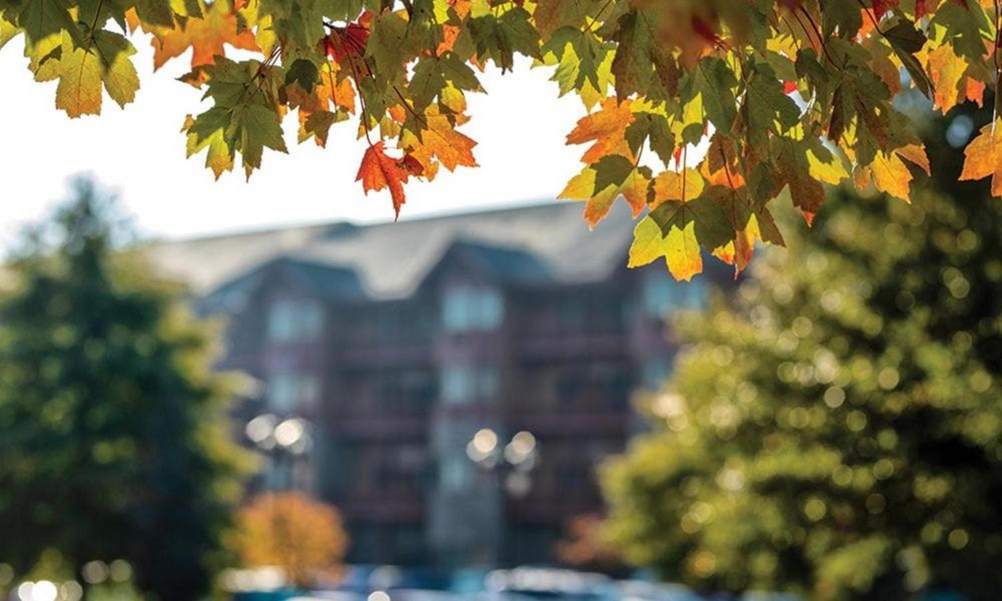 Great Smokies Lodge Sevierville By Hellovacay エクステリア 写真